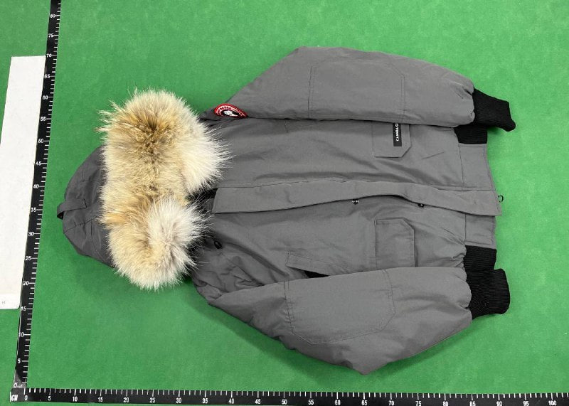 Canada Goose down jacket QC 1