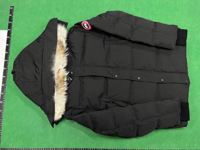 Canada Goose down jacket QC 2